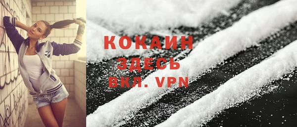 гашик Кулебаки