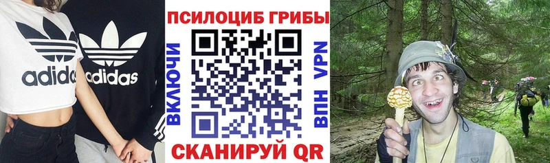 mega рабочий сайт  что такое наркотик  Малоархангельск  Псилоцибиновые грибы Cubensis 